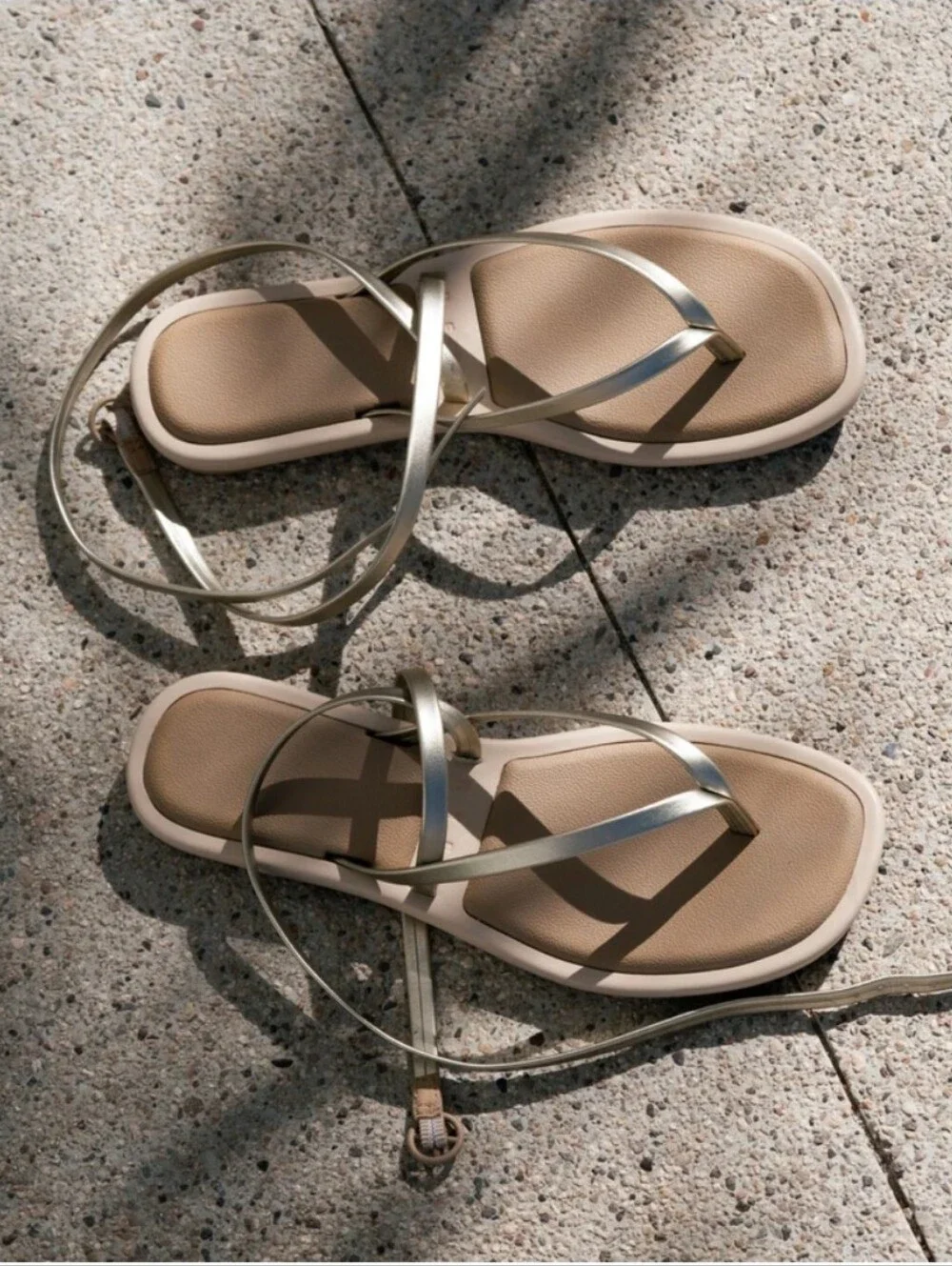 NWT Reef Willow Sandal In Metallic Gold